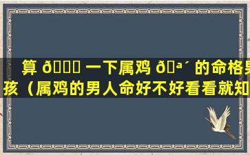 算 🐋 一下属鸡 🪴 的命格男孩（属鸡的男人命好不好看看就知道了）